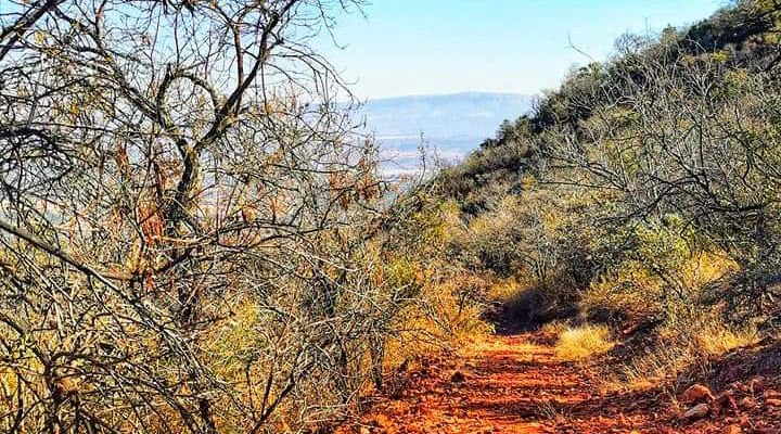 10 hiking trails in and around Rivonia