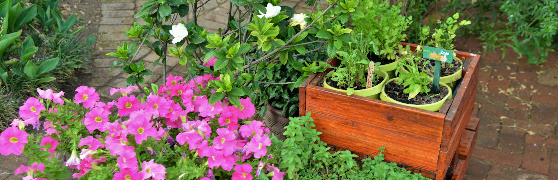 Rivonia Bed & Breakfast - Bed & Breakfast in Sandton