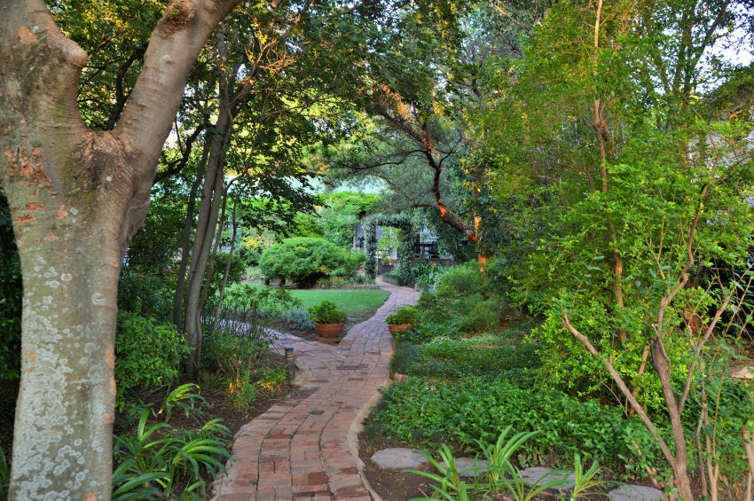 Valentine's Month at Rivonia Premier Lodge