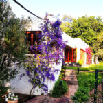 boutique accommodation Sandton